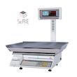 ترازو محک ۷۰کیلویی مدل ۱۴۰۰۰Plus