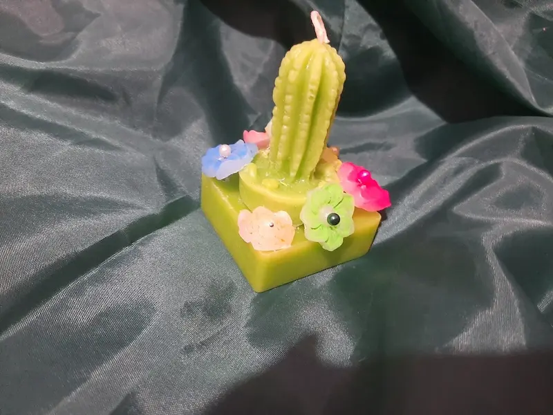 کاکتوس کوچولو