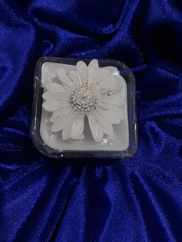 سینی بابونه شاین