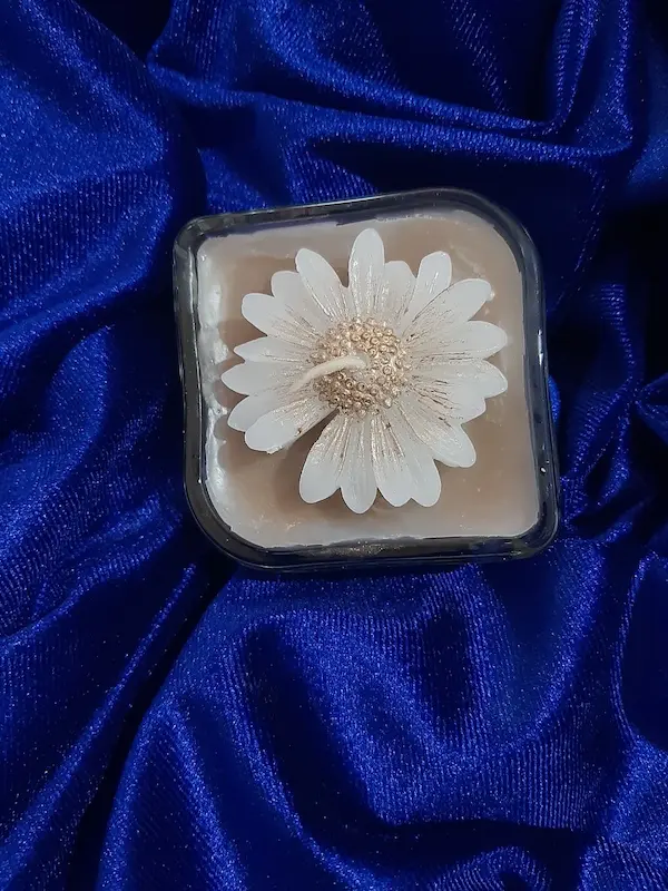 سینی بابونه شاین