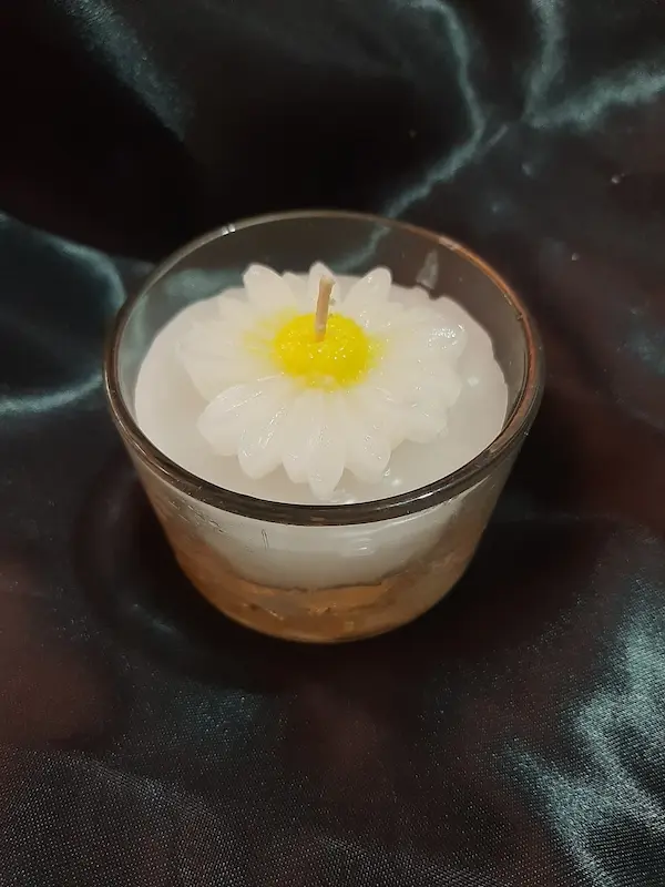 بابونه کلاسیک