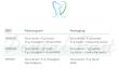 سمان گلاس آینومر ـــ Securacem برند:WP