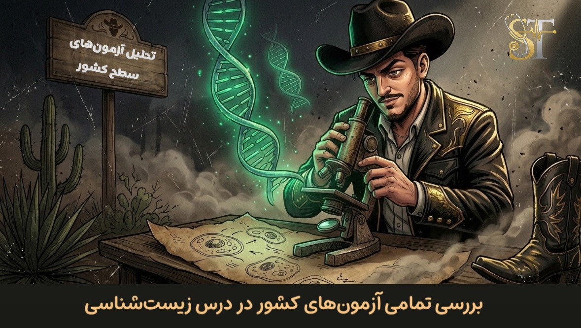 slide-image-undefined