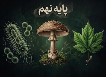 بیا با هم به زیست‌شناسی علاقه‌مند بشیم...!