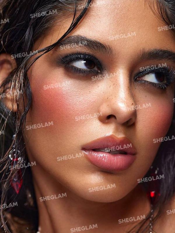 رژگونه و هایلایتر پروانه شیگلم