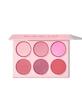 پلت رژگونه ۶ تایی رنگ Blushing Bouquet شیگلم