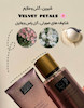 بادی اسپلش velvet petals vs ویکتوریا سکرت اورجینال 