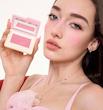 رژگونه پودری wannabe شیگلم