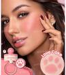 رژگونه پودری شیگلم طرح پنجه گربه Love Cake