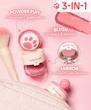 رژگونه پودری شیگلم طرح پنجه گربه Love Cake