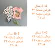 پک دوتایی تیشرت نخ پنبه وارداتی سگهای نگهبان اسکای وارداتی  