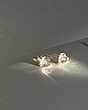 گوشواره قلب صورتی نقره