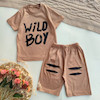 ست تیشرت شلوارک wild boy کد 2087