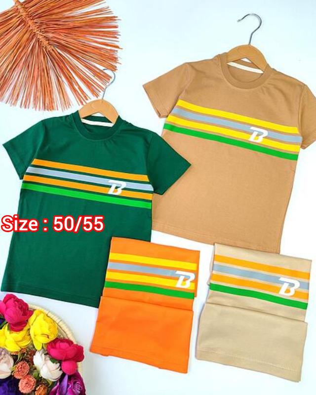 تیشرت تک رنگی کد 4132