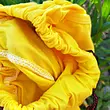 شلوارک پنبه کد 352