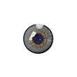 لنز چشم رنگی آی ریو (EYEREVE) شماره JAD GRAY 05
