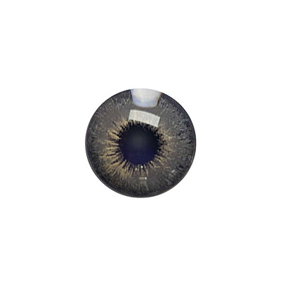 لنز چشم رنگی آی ریو (EYEREVE) شماره PIXI GRAY 06