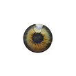 لنز چشم رنگی آی ریو (EYEREVE) شماره CLASSICAL COFFE 08