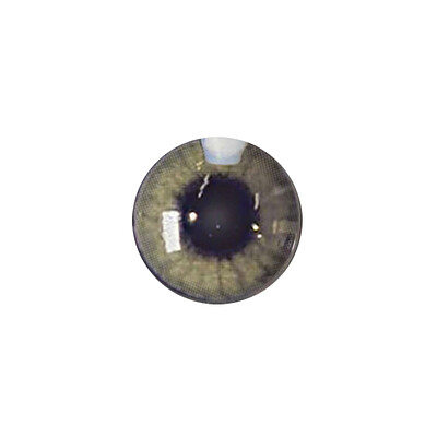 لنز چشم رنگی آی ریو (EYEREVE) شماره MARRON 10