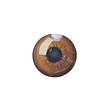 لنز چشم رنگی آی ریو (EYEREVE) شماره CARAMELL 12