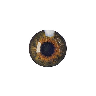 لنز چشم رنگی آی ریو (EYEREVE) شماره FLORAANS HAZEL 15