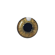 لنز چشم رنگی آی ریو (EYEREVE) شماره CAPPUCCINO 16