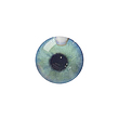 لنز چشم رنگی آی ریو (EYEREVE) شماره HOLLYWOOD 19