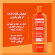 شامپو فعال‌کننده فر کنتو بدون سولفات مخصوص موهای فر Cantu Sulfate-Free Curl Activator Shampoo