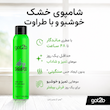 شامپو خشک پاک کننده اینستانت فرش اکسترا فرش گات تو بی extra fresh instant fresh up Cleansing Dry shampoo spray Got2b