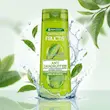 شامپو 2 در 1 ضدشوره گارنیر Garnier مدل Anti dandruff