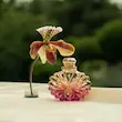عطر ادکلن لالیک سولیل لونار | Lalique Soleil Lunar