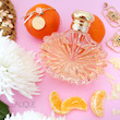 عطر ادکلن لالیک سولیل | Lalique Soleil
