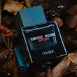 عطر ادکلن لالیک انکر نویر اسپرت | Lalique Encre Noire Sport