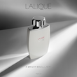 عطر ادکلن لالیک سفید-لالیک وایت | Lalique White