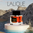 عطر ادکلن لالیک امبر نویر | Lalique Ombre Noire