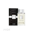 عطر ادکلن لالیک هومیج | Lalique Hommage