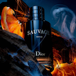 عطر ادکلن دیور ساواج پارفوم | Dior Sauvage Parfum