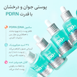 سرم هیالورانیک اسید و PDRN آنوا Anua PDRN Hyaluronic Acid 100+ Capsule SREUM