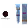 رنگ مو پلو بیوتی POLO حجم 100 میلی لیتر شماره 4.20 شرابی بنفش تیره (بدون سولفات)