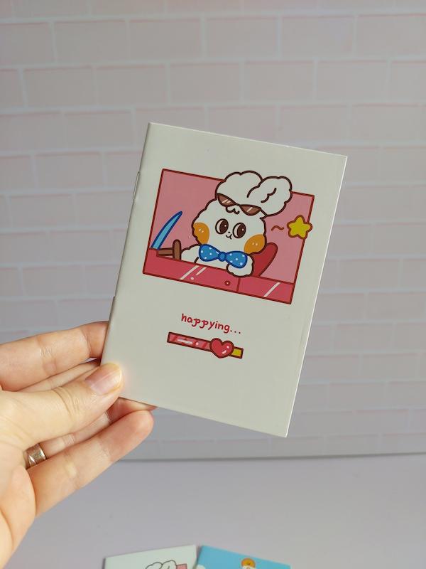 دفترچه پاسپورتی