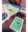 بازی افزونه 5 و 6 نفره مهاجران کاتان  (CATAN EXTENSION) | مدل گیم باکس