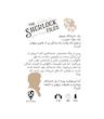 بازی ایرانی معمایی شرلوک راز پیشخدمت Sherlock Files | مدل دایس کریم