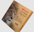 مداد رنگی ویکتوریا 48 رنگ جعبه چوبی کنکو | CANCO