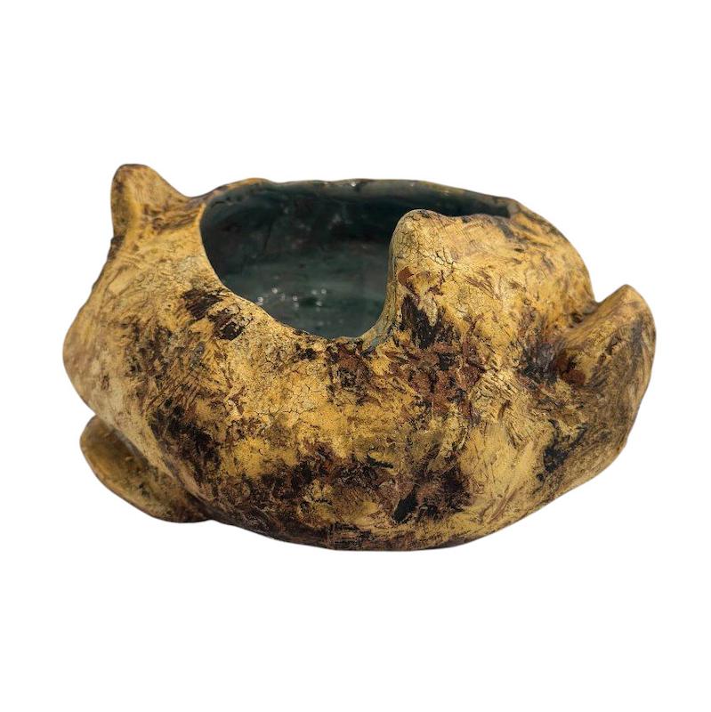 کاسه آبی خاک