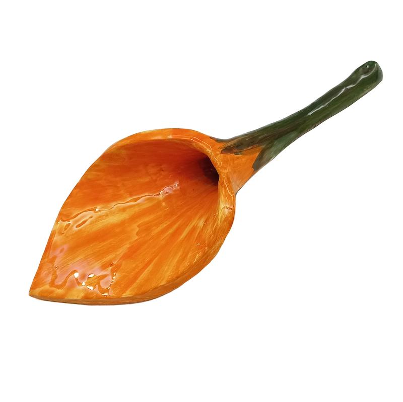 گل شیپوری
