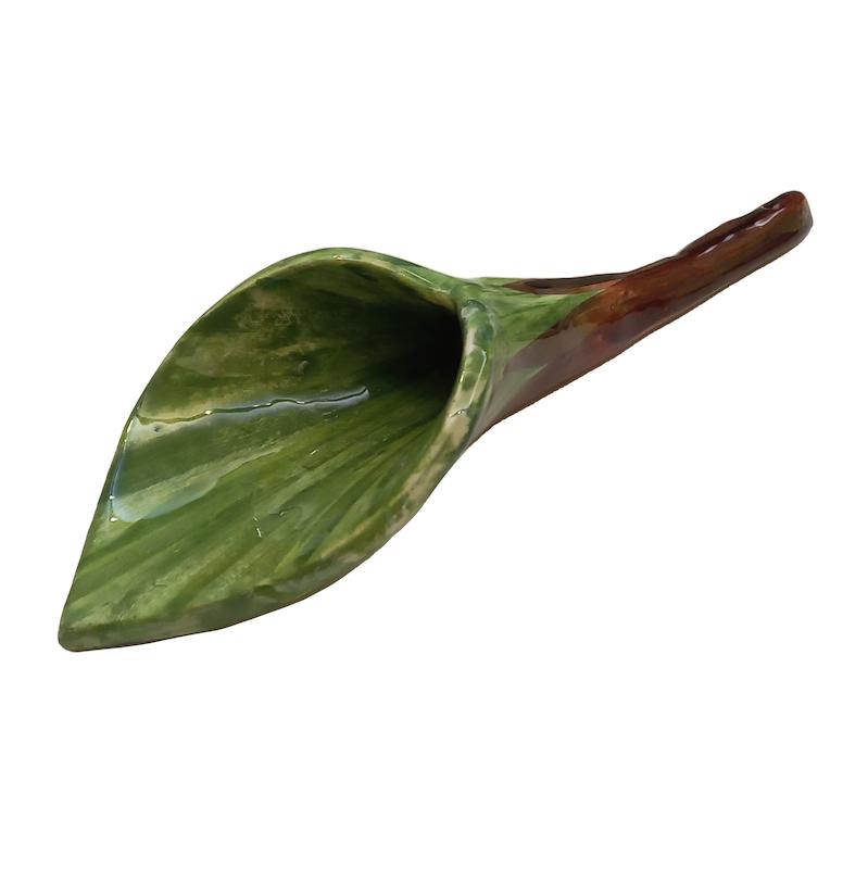 گل شیپوری