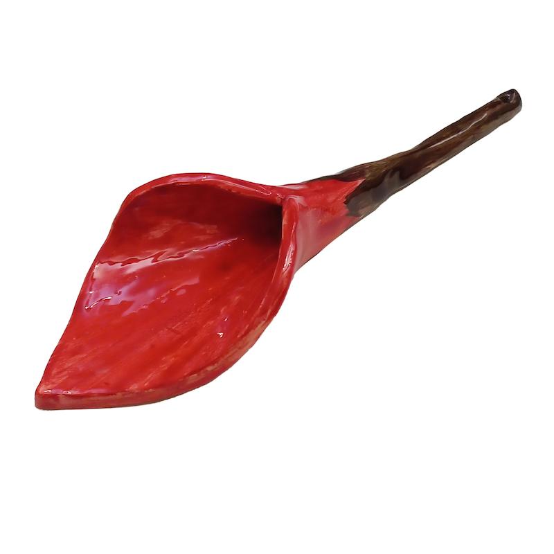 گل شیپوری