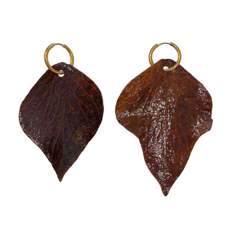 گوشواره