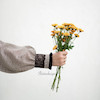 پیراهن چهارخونه قهوه ای