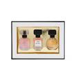 گیفت ست ۳عددی عطر مینی
